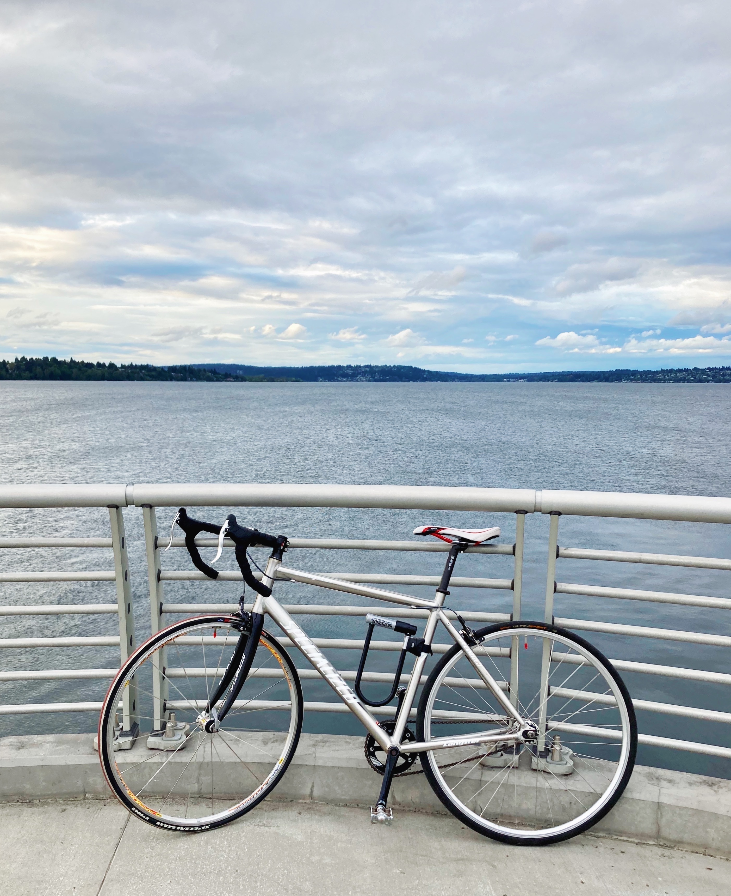 Stolen Specialized Langster