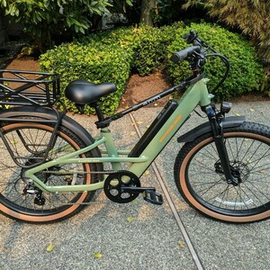 2024 Rad Power Bikes Radster Trail Electric Off-Road Bike Green