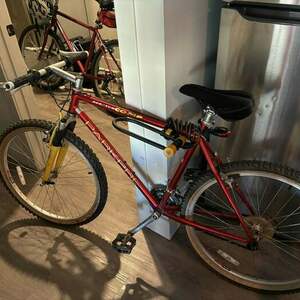 Parkpre Scepter COMP Red and Yellow or Gold