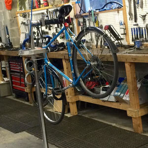 1979 Schwinn Blue