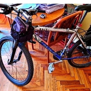 2005 Raleigh mojave 2.0 Blue