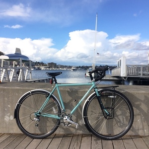 2011 Surly Cross Check Teal