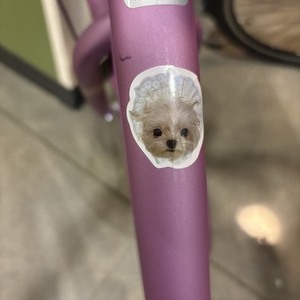 2024 Huffy perfect fit frame-purple steel Purple