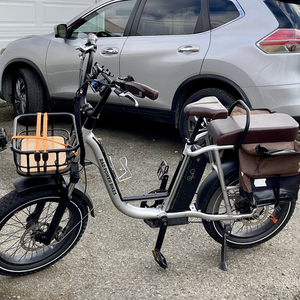 2021 Rad Power Bikes Runner Plus Silver, gray or bare metal