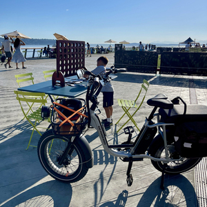 2021 Rad Power Bikes Runner Plus Silver, gray or bare metal