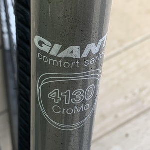 Giant Cypress ST (Black) Black