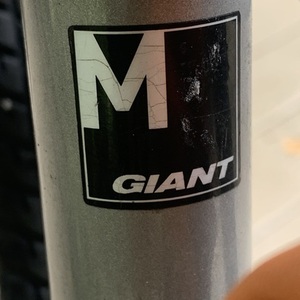 Giant Cypress ST (Black) Black