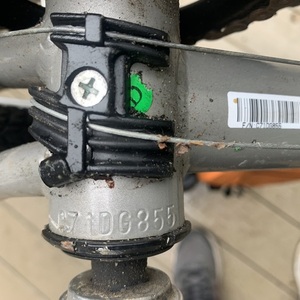 Giant Cypress ST (Black) Black