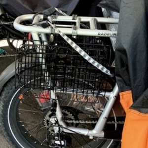 2021 Rad Power Bikes RadRunner Plus Silver, gray or bare metal