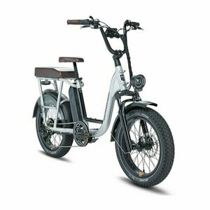 2021 Rad Power Bikes RadRunner Plus Silver, gray or bare metal