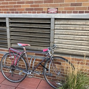1987 Bridgestone Bridgestone Purple and Silver, gray or bare metal