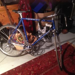 1988 Schwinn Paramount Anniversary Edition Blue