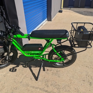 FLX Bandit II Green