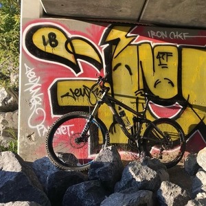 Trek Silver, gray or bare metal