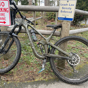 2020 Kona Process 153 DR 29 Green