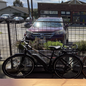 2020 Rad Power Bikes RadMission 1 Black