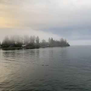 2021 Giant Momentum LaFree Red