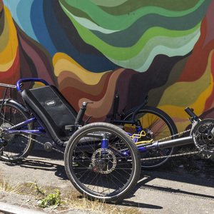 2023 Catrike Catrike Trail recumbent Purple