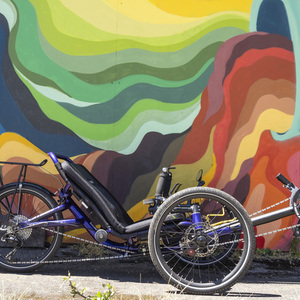 2023 Catrike Catrike Trail recumbent Purple