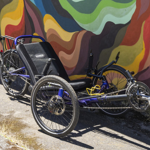 2023 Catrike Catrike Trail recumbent Purple