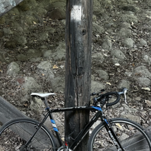 2014 Raleigh RX Black and Blue