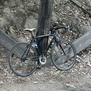 2014 Raleigh RX Black and Blue