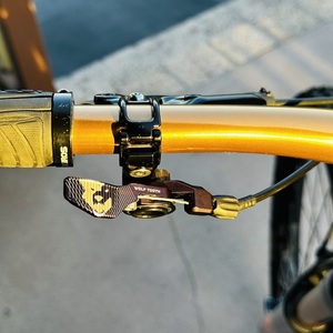 2018 Santa Cruz 5010 CC Silver, gray or bare metal