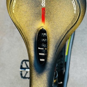 2018 Santa Cruz 5010 CC Silver, gray or bare metal