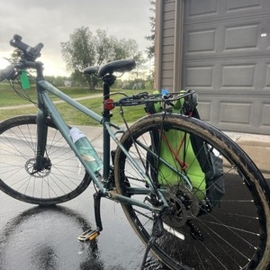 2020 Giant Alight 3 DD Disc S Teal Silver, gray or bare metal