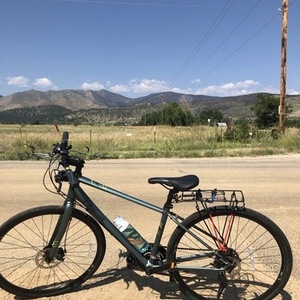 2020 Giant Alight 3 DD Disc S Teal Silver, gray or bare metal