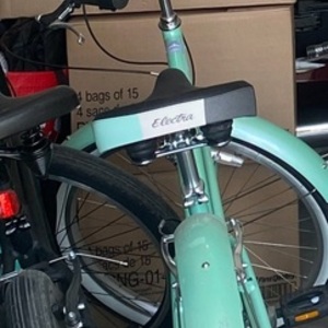 2021 Electra Lux 7D Green