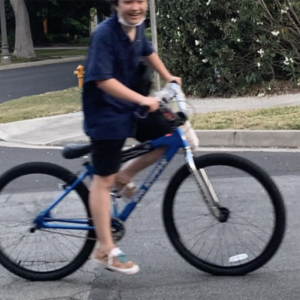 2021 SE Bikes Big Ripper Blue, Silver, gray or bare metal, and Stickers tape or other cover-up