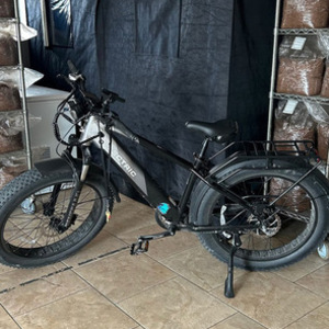 2024 Lectric eBikes High step Silver, gray or bare metal and Black