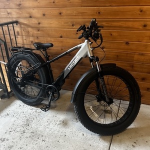 2024 Lectric eBikes High step Silver, gray or bare metal and Black