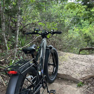 2024 Lectric eBikes High step Silver, gray or bare metal and Black
