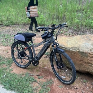 2022 Aventón Step Over Silver, gray or bare metal