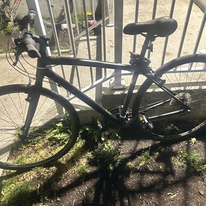 2021 Raleigh Black and Silver, gray or bare metal