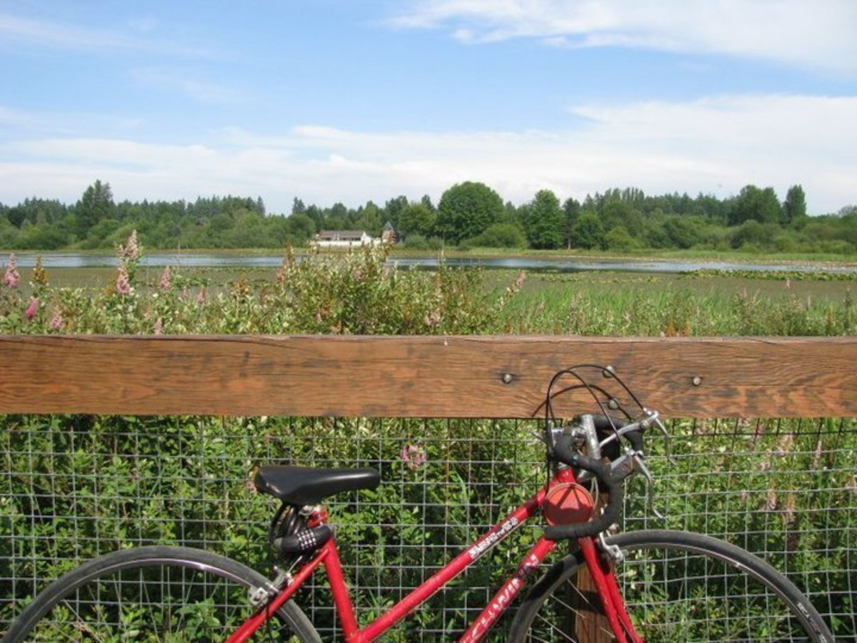 Bike photo