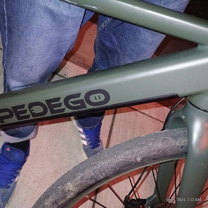 2024 Pedego