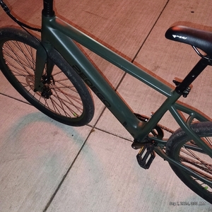 2024 Pedego Green