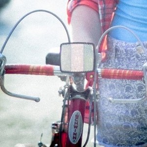 1988 Schwinn not sure Red