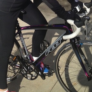 2013 Felt ZW95 Black, Pink, and Purple