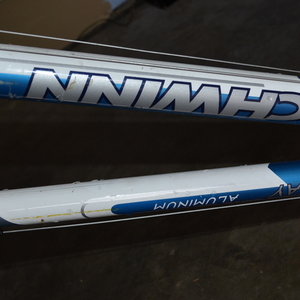 Schwinn Blue, White, and Silver or Gray