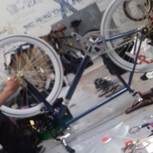 2017 Sloe Sole Blue and White