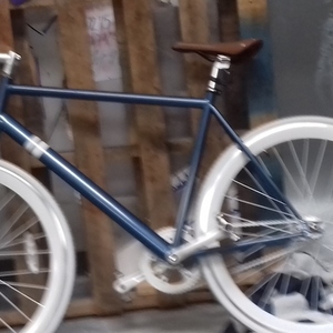 2017 Sloe Sole Blue and White