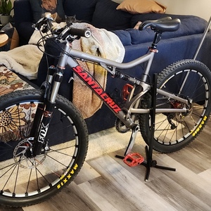 Santa Cruz Blur Silver, gray or bare metal