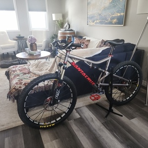 Santa Cruz Blur Silver, gray or bare metal