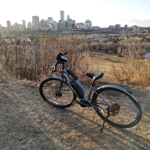 2019 Trek Silver, gray or bare metal