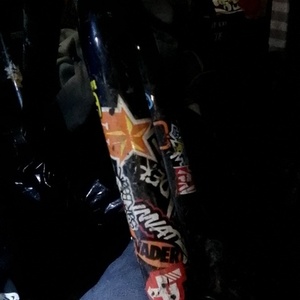 Iron Horse Bikes Brown