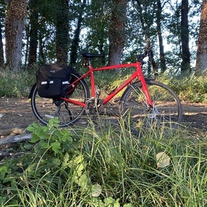 2023 Trek Fx2 Red